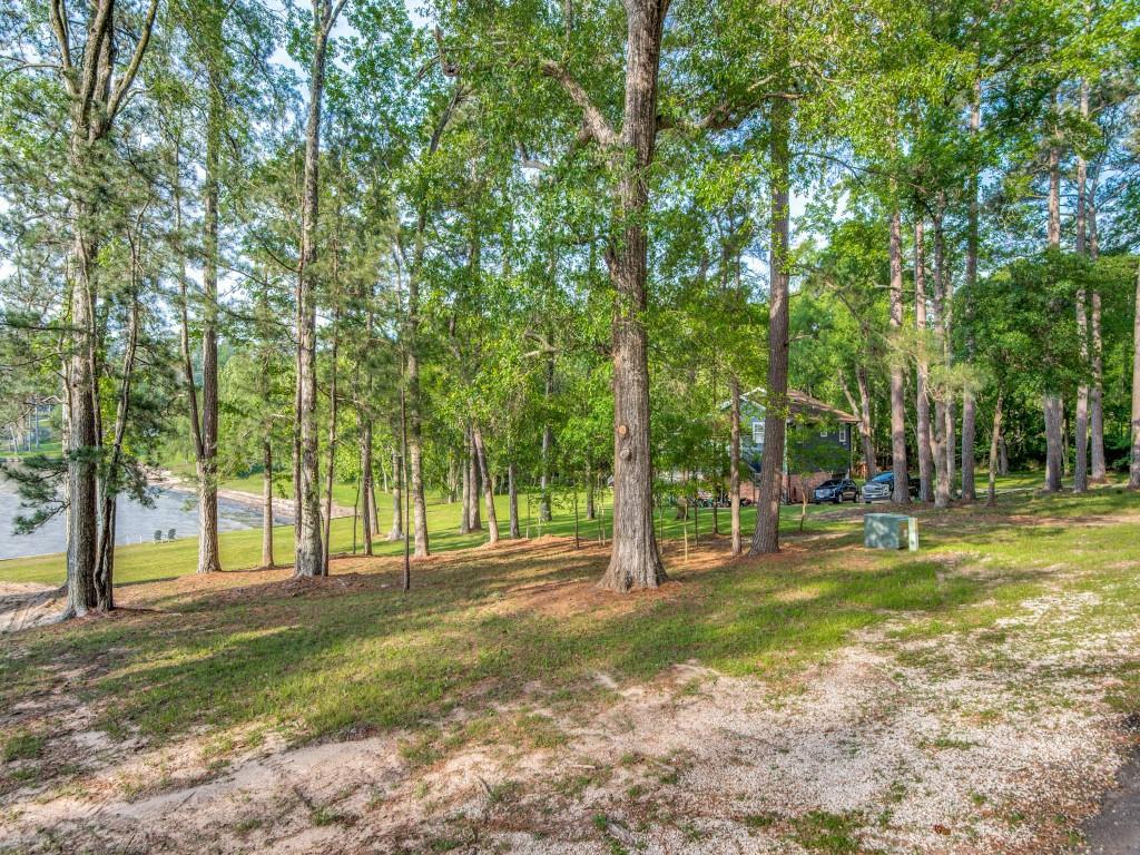 TBD Lakeshore Drive, Coldspring, Texas image 11