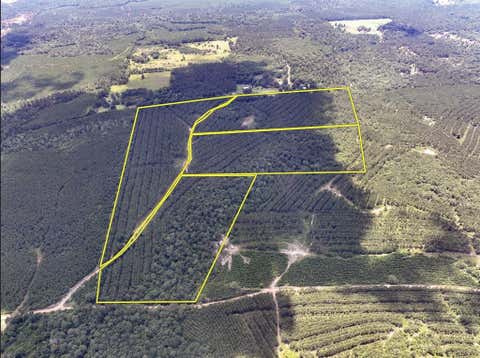 Vacant Land For Sale - County Road 1425<br/> Warren, TX 75979