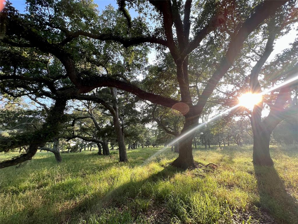 Brazos River Rd Cr 400, Jones Creek, Texas image 4