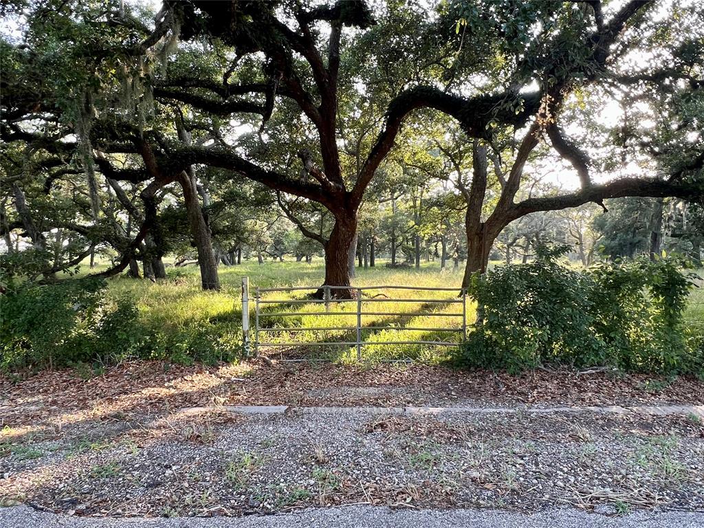 Brazos River Rd Cr 400, Jones Creek, Texas image 2