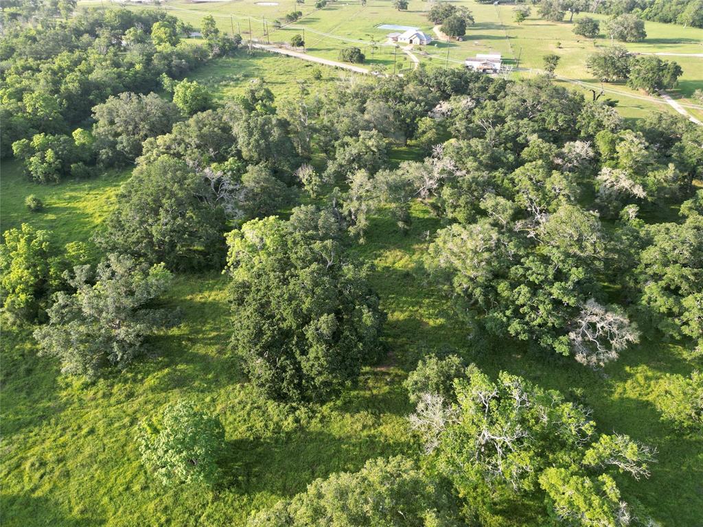 Brazos River Rd Cr 400, Jones Creek, Texas image 7