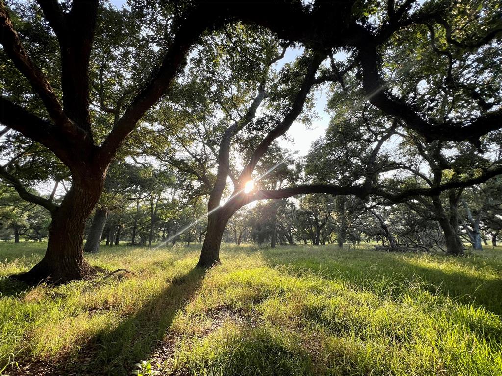 Brazos River Rd Cr 400, Jones Creek, Texas image 3