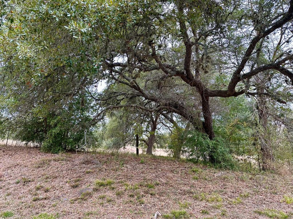 TBD E Fm 389, Round Top, Texas image 4