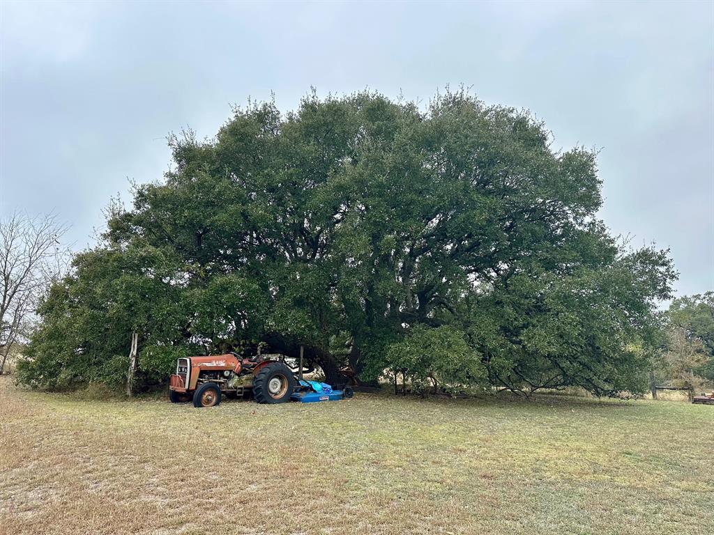 TBD E Fm 389, Round Top, Texas image 9