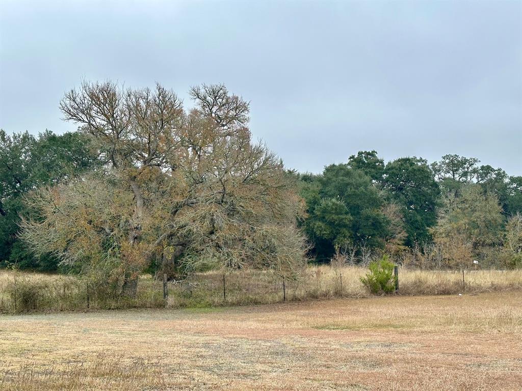 TBD E Fm 389, Round Top, Texas image 8