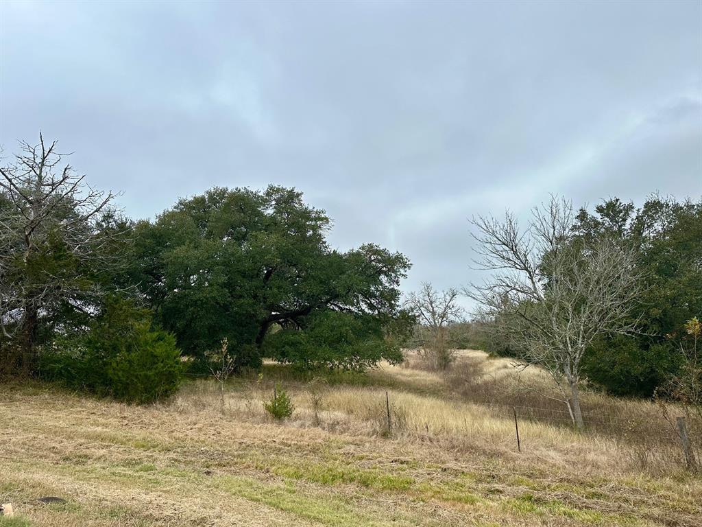 TBD E Fm 389, Round Top, Texas image 5