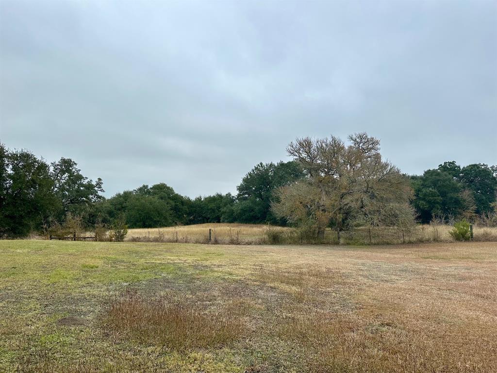 TBD E Fm 389, Round Top, Texas image 7