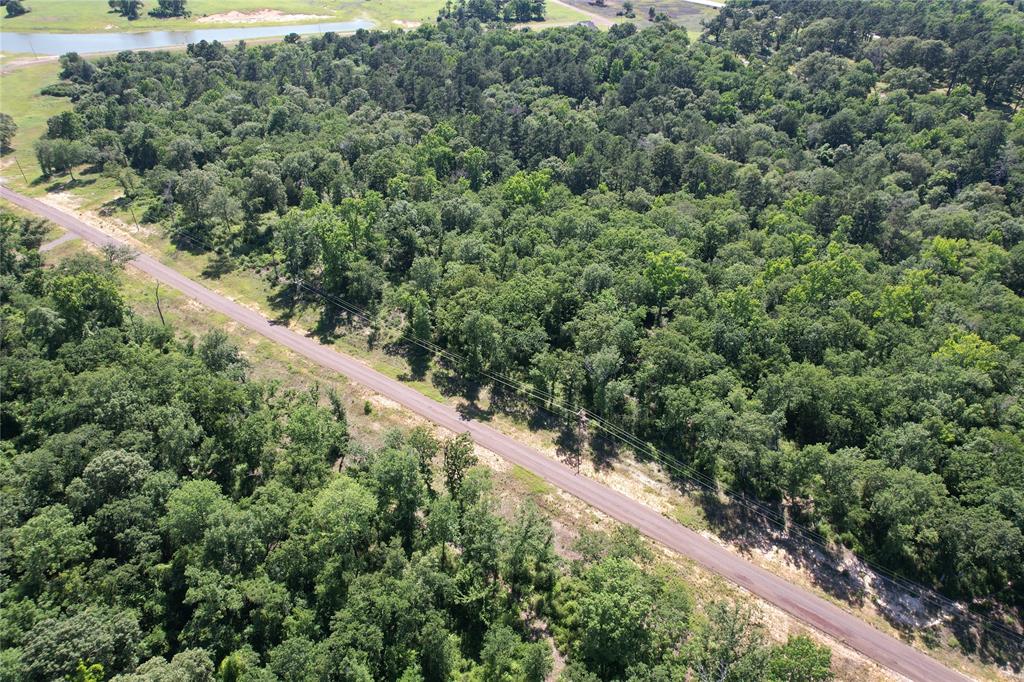 Tract 142 Private Road 1311, Centerville, Texas image 19