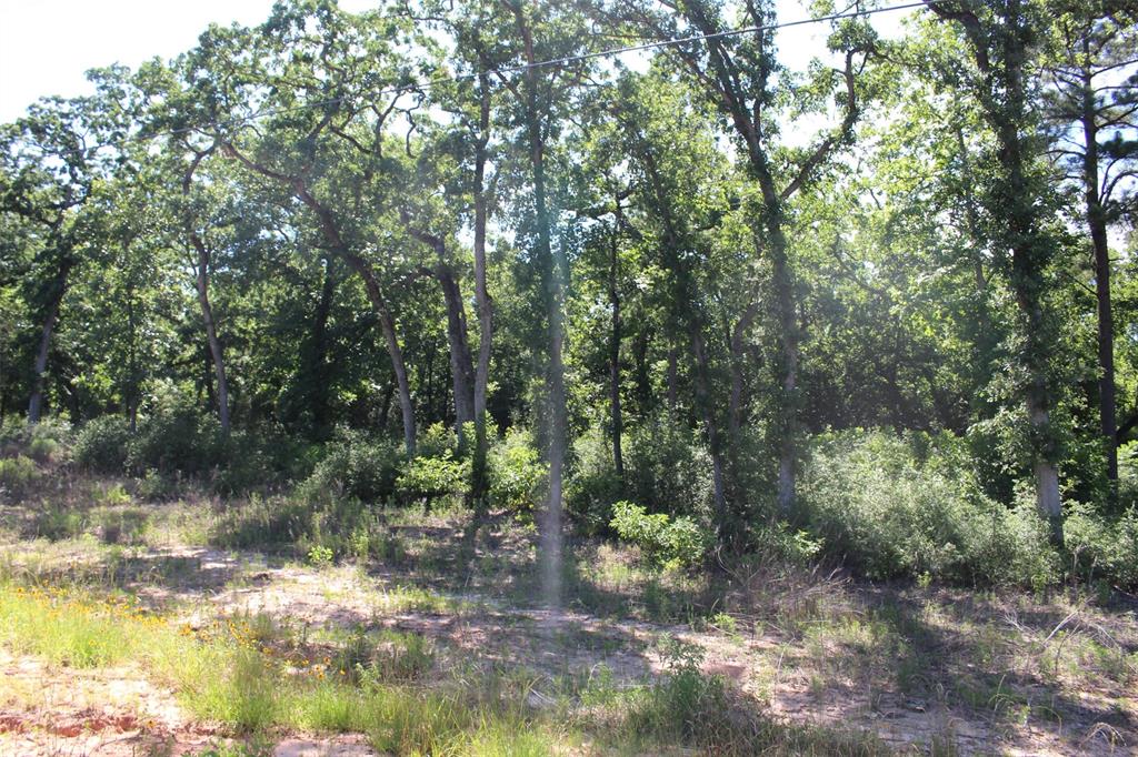 Tract 142 Private Road 1311, Centerville, Texas image 11
