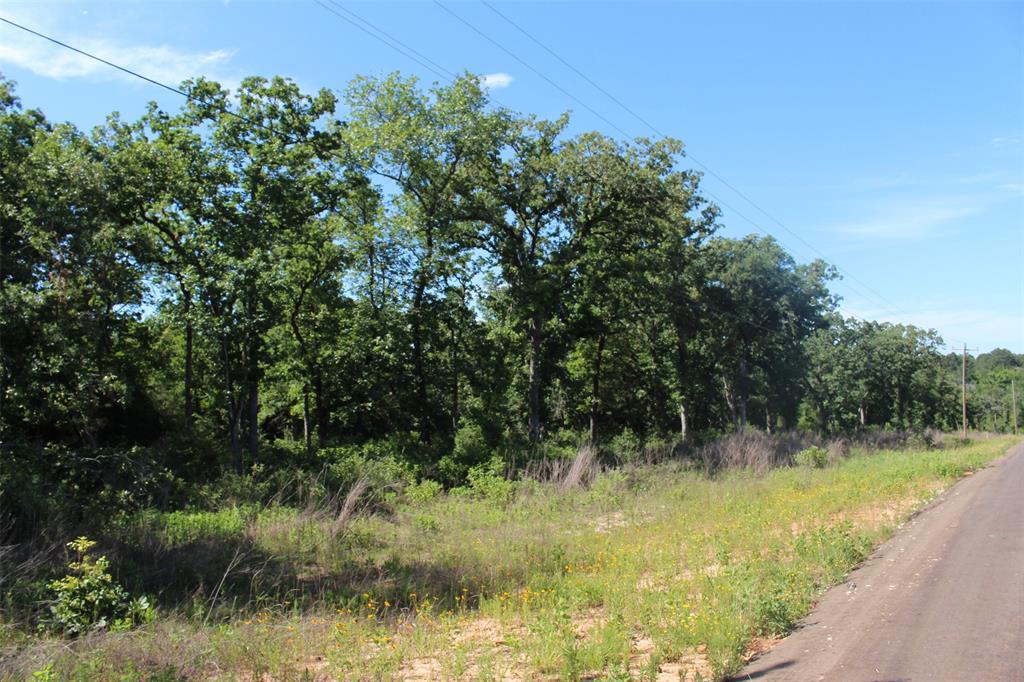 Tract 142 Private Road 1311, Centerville, Texas image 15