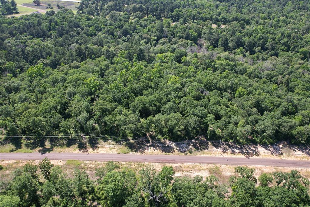 Tract 142 Private Road 1311, Centerville, Texas image 17
