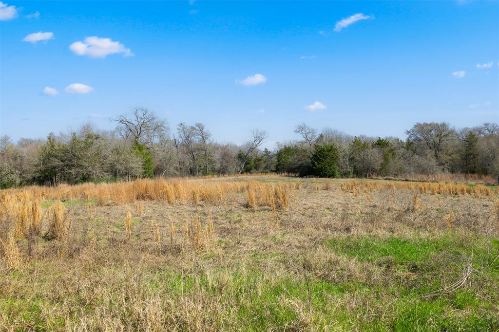 3970 Koether Road, Carmine, Texas image 28