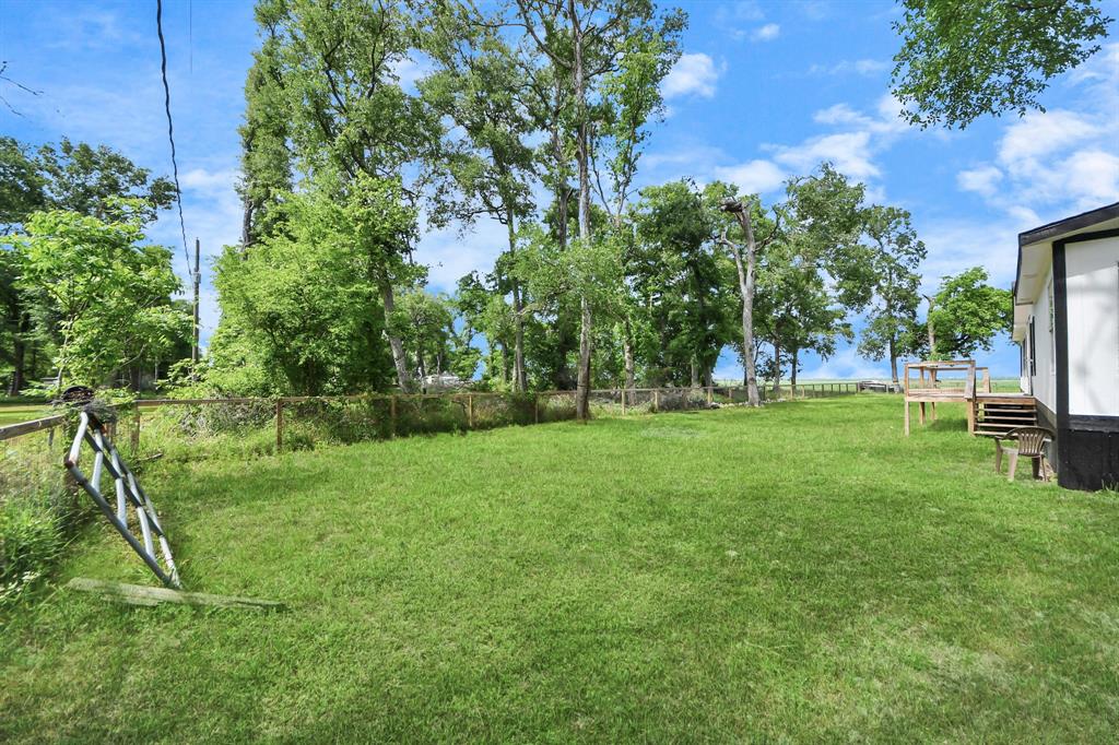 20520 Spruce Forest Drive, Guy, Texas image 7