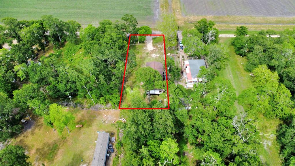 20520 Spruce Forest Drive, Guy, Texas image 39