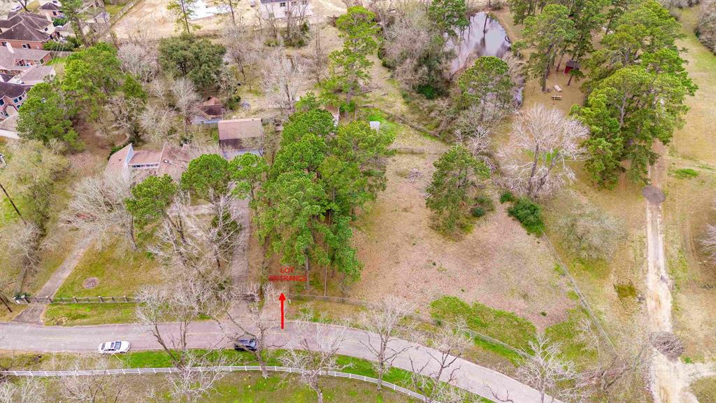 20311 Budde Cemetary Road, Spring, Texas image 3