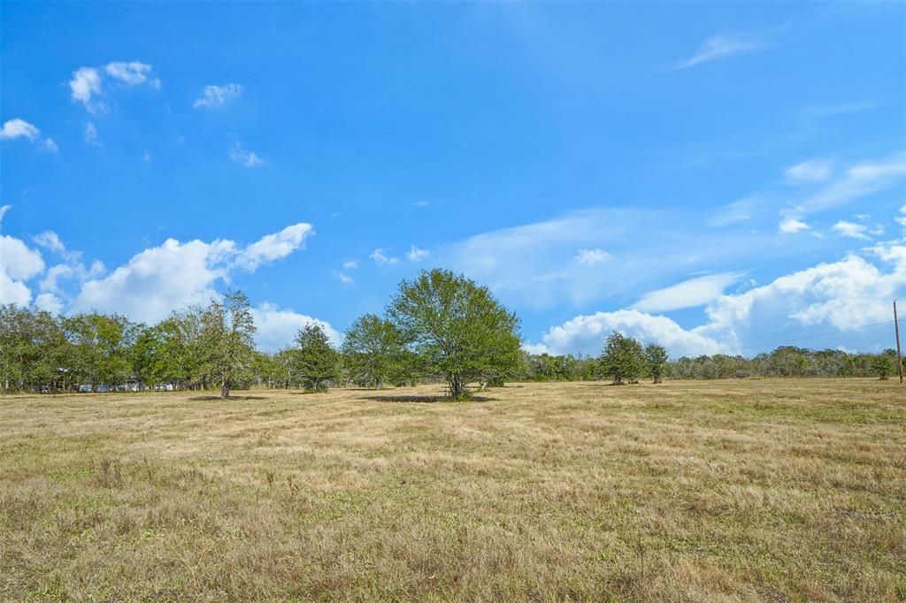 Lot 13 County Rd 229, Bedias, Texas image 1