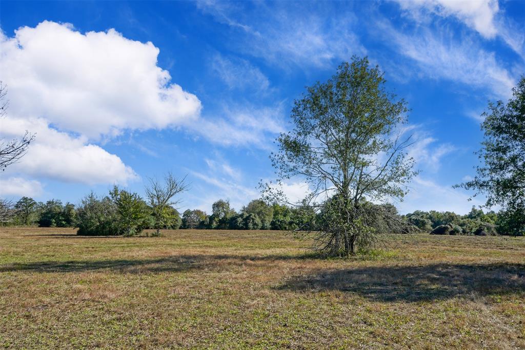 Lot 13 County Rd 229, Bedias, Texas image 6