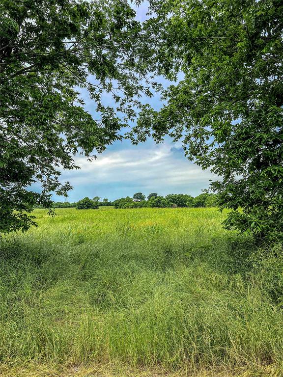 000 Schroeder Rd, Brenham, Texas image 4