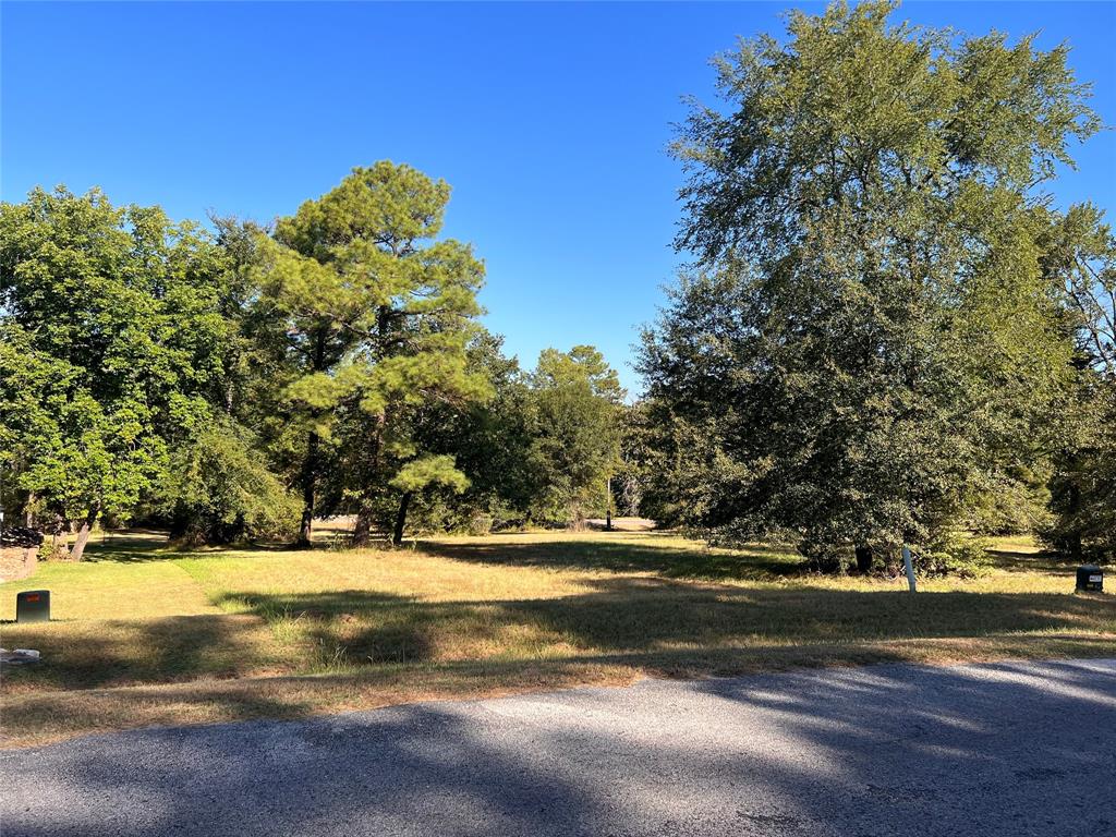 46 Hillsborough Drive, Huntsville, Texas image 2