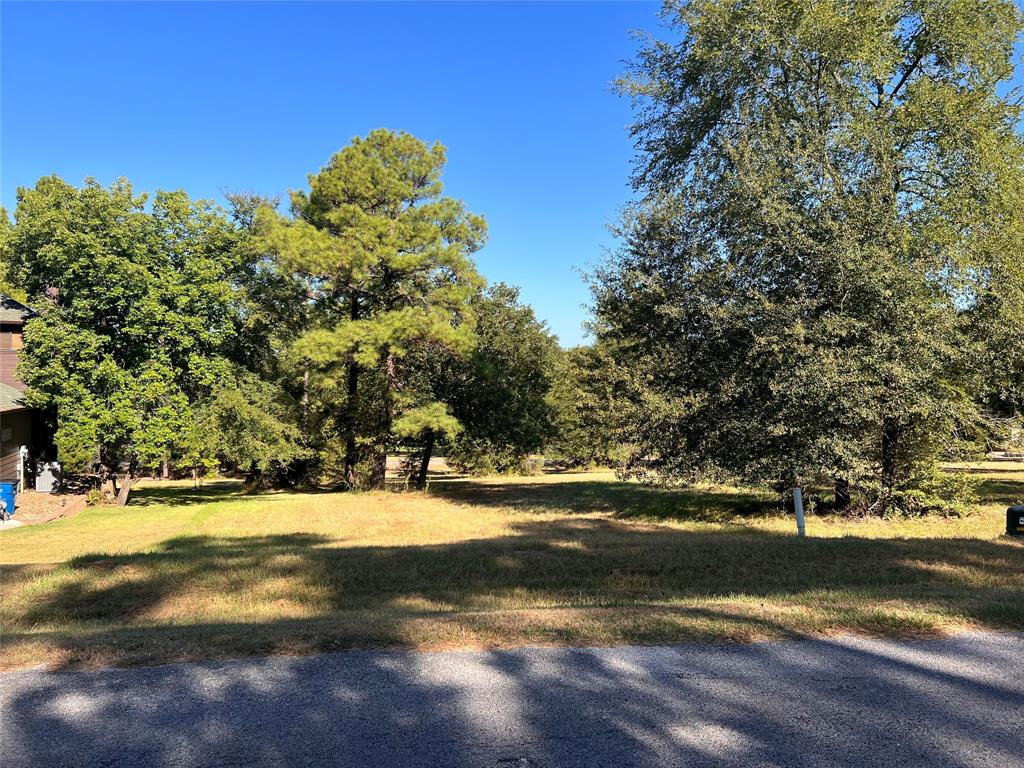 46 Hillsborough Drive, Huntsville, Texas image 3