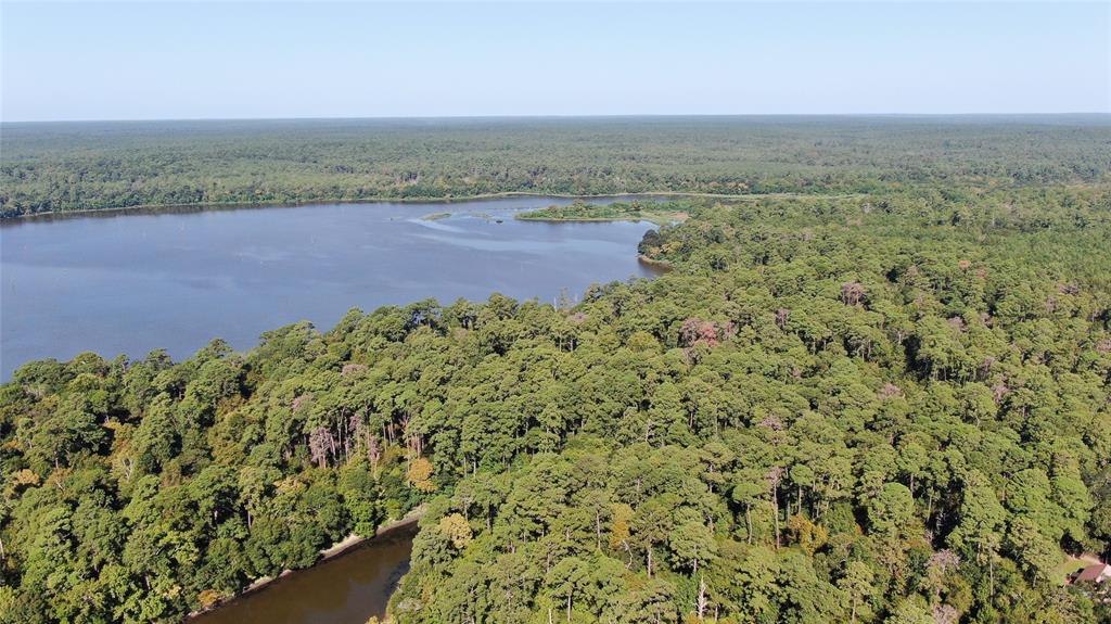 46 Hillsborough Drive, Huntsville, Texas image 30