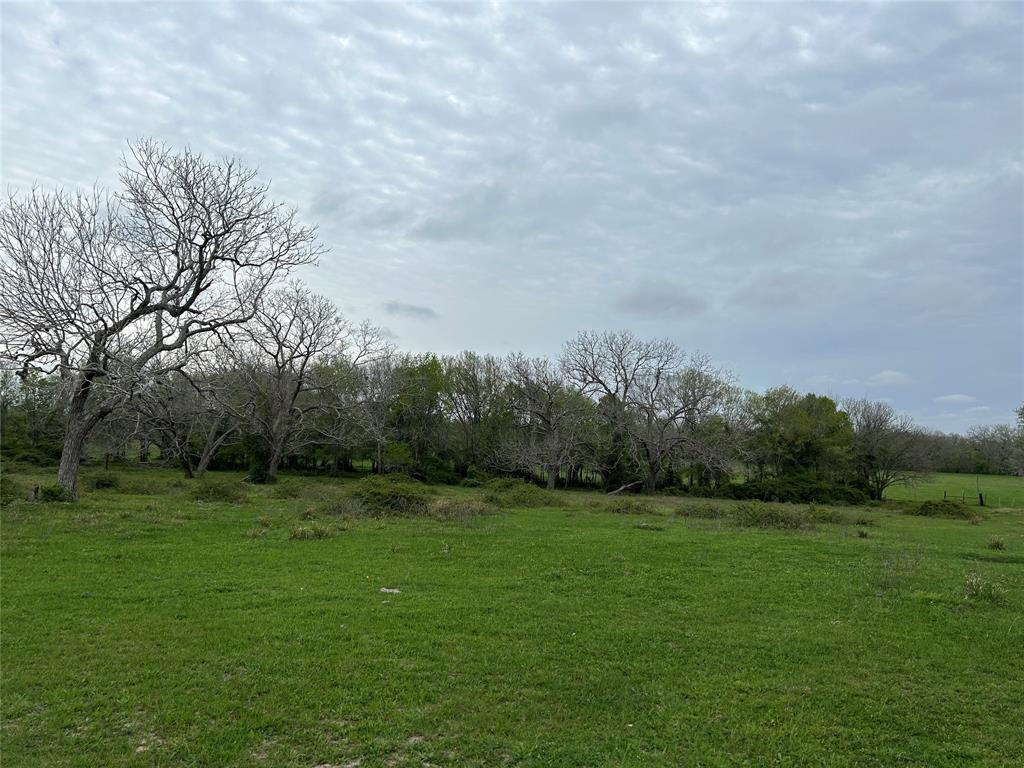 691 Gandy Bend Rd, Edna, Texas image 11