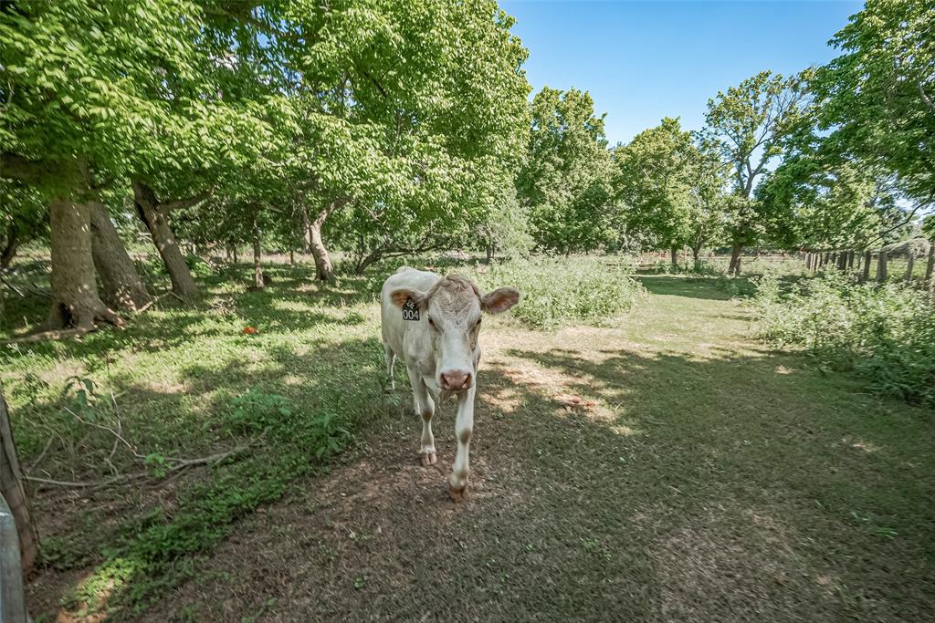 2511 Hartwell Road, Pattison, Texas image 31