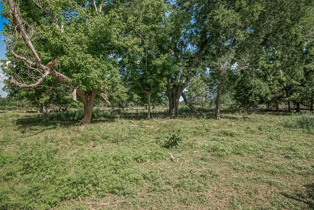 2511 Hartwell Road, Pattison, Texas image 20