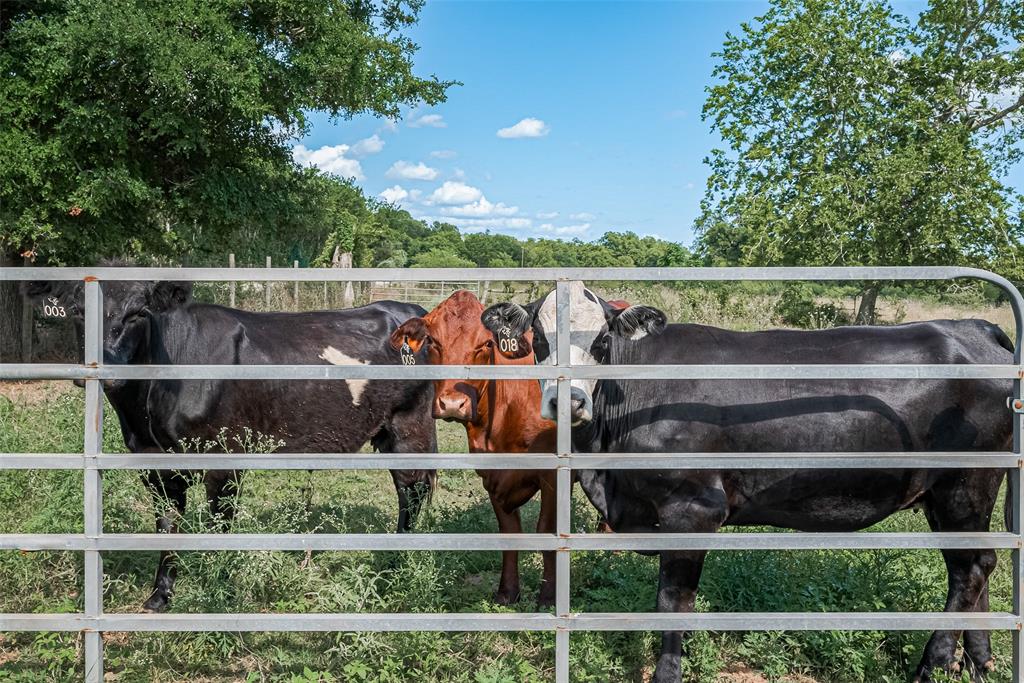 2511 Hartwell Road, Pattison, Texas image 15