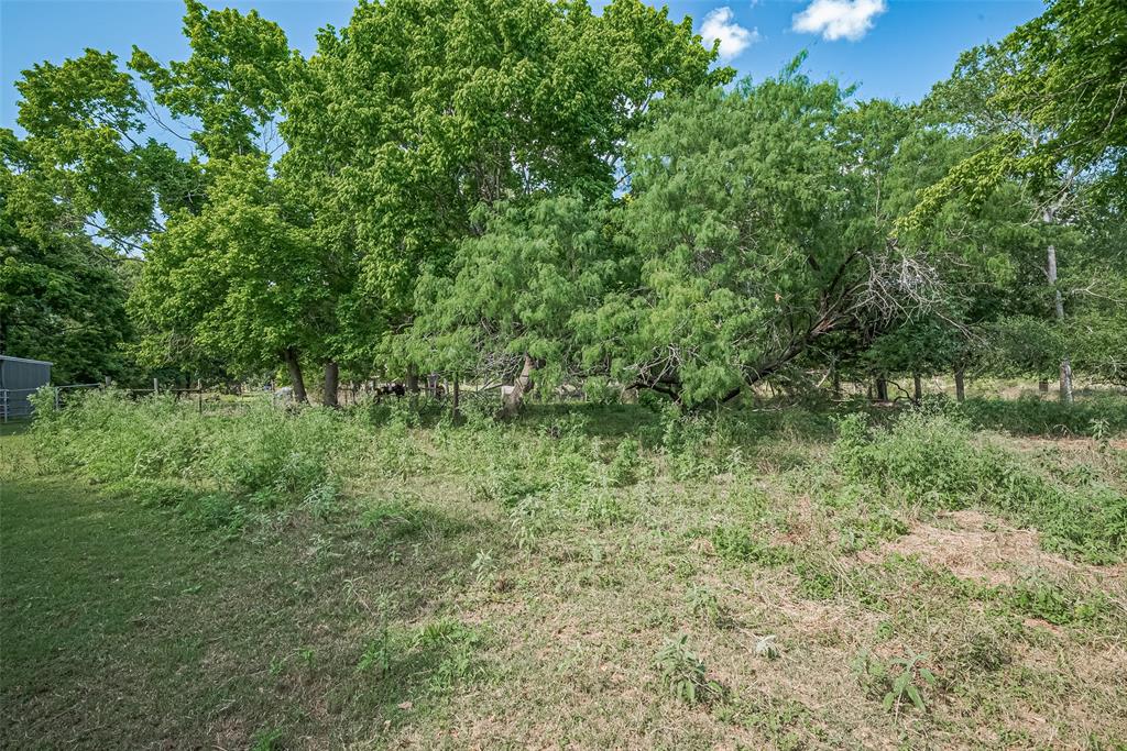 2511 Hartwell Road, Pattison, Texas image 26