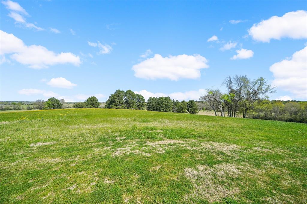 460 Bishop Road, Huntsville, Texas image 49