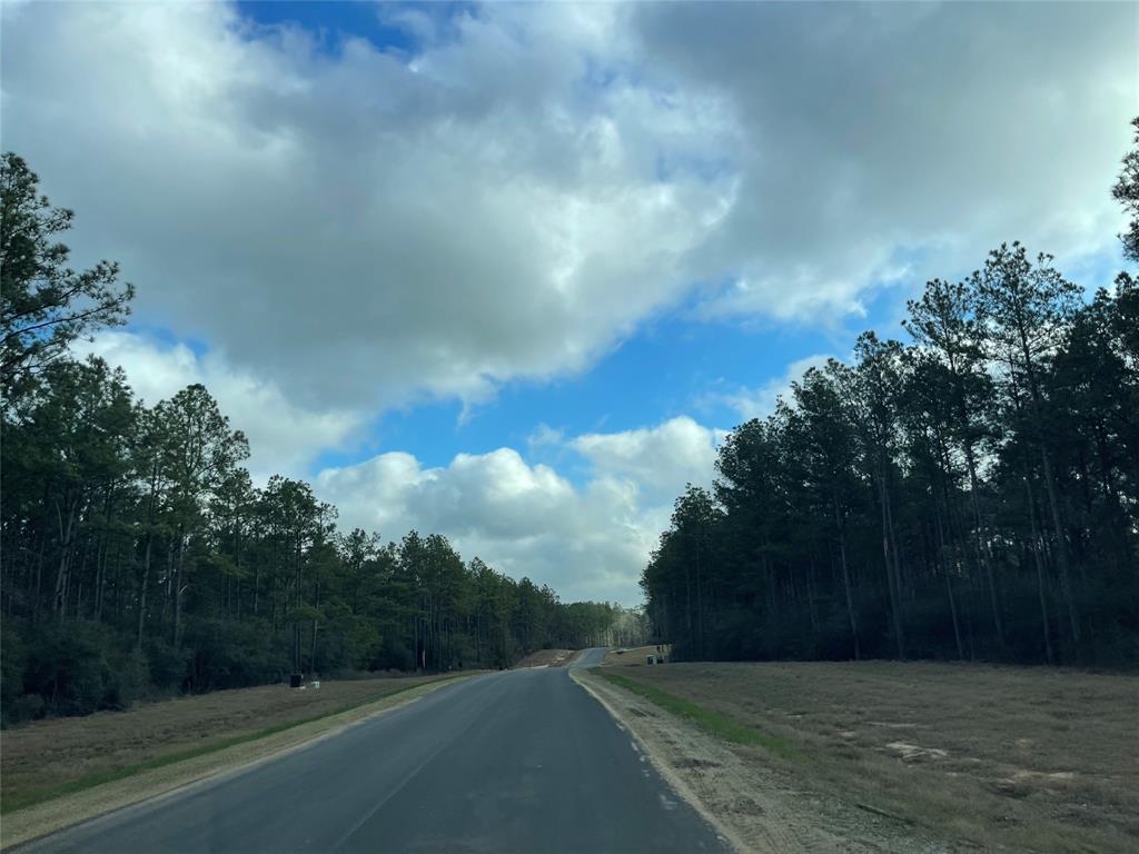 16031 Forest Mill Road, Willis, Texas image 4