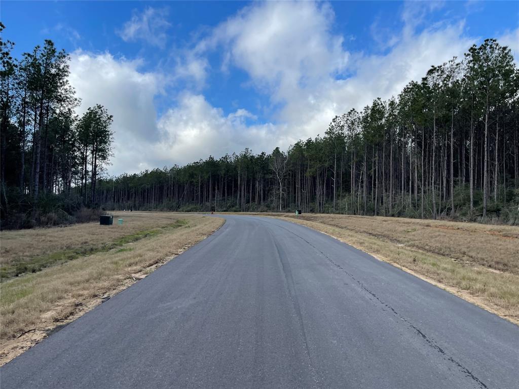 16031 Forest Mill Road, Willis, Texas image 7