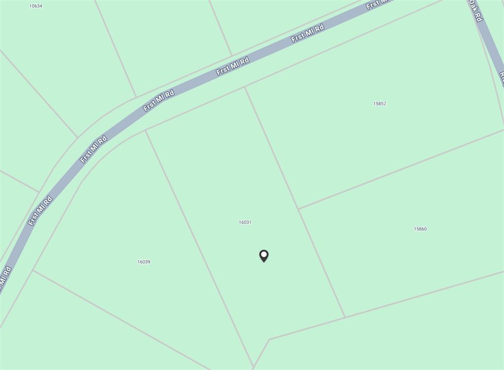 16031 Forest Mill Road, Willis, Texas image 12
