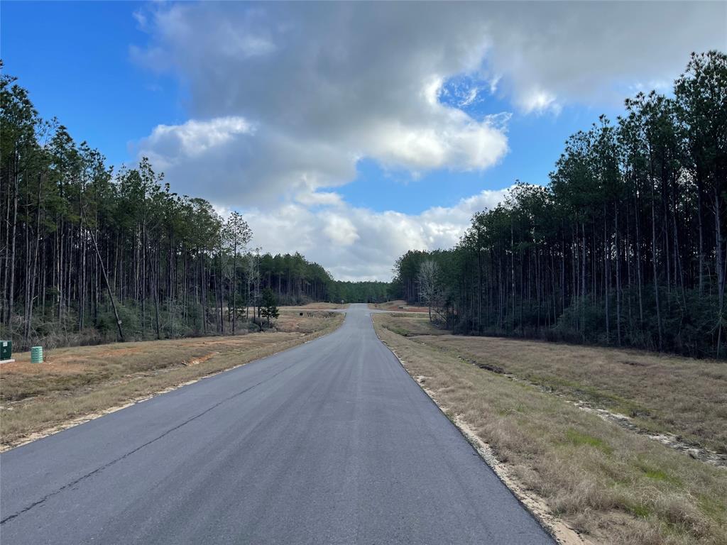 16031 Forest Mill Road, Willis, Texas image 3