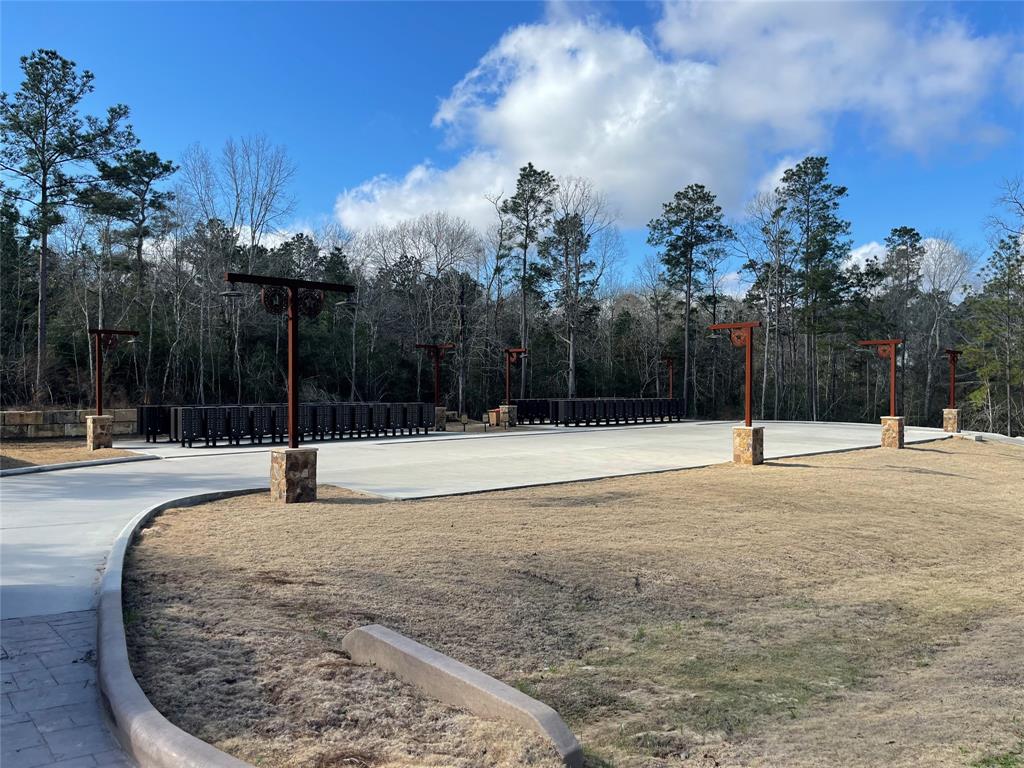 16031 Forest Mill Road, Willis, Texas image 10