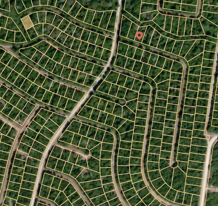 Lot 3 Holly Springs Road, Normangee, Texas image 3