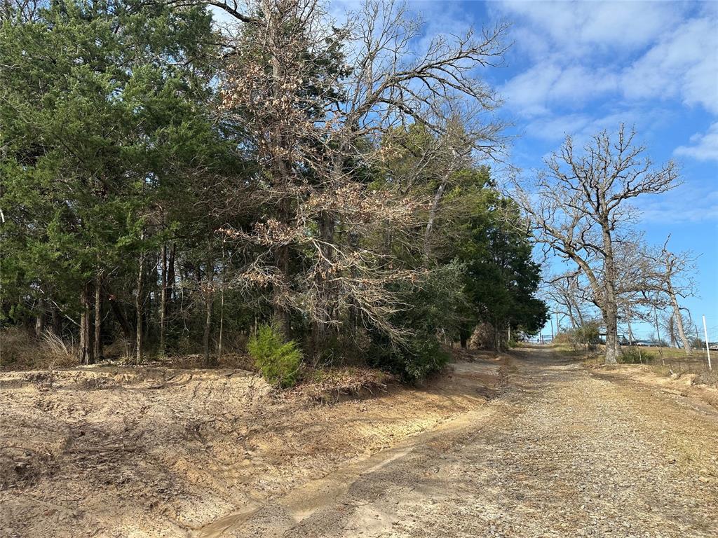 439 Walnut Lane, Buffalo, Texas image 7