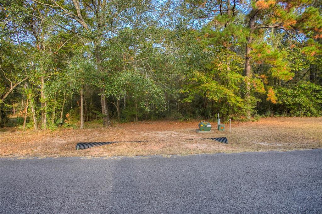 5 W Forest Drive