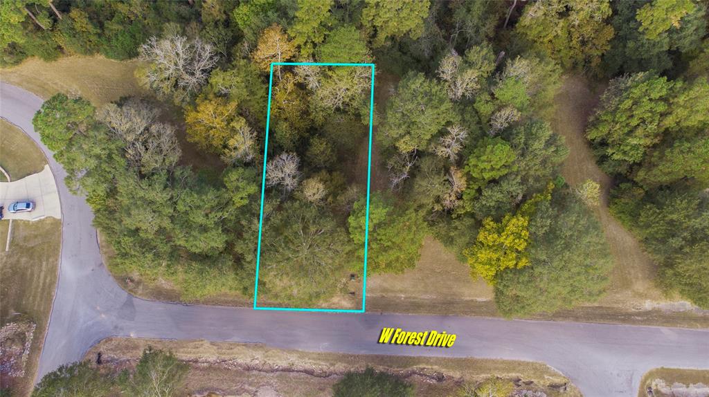 5 W Forest Drive