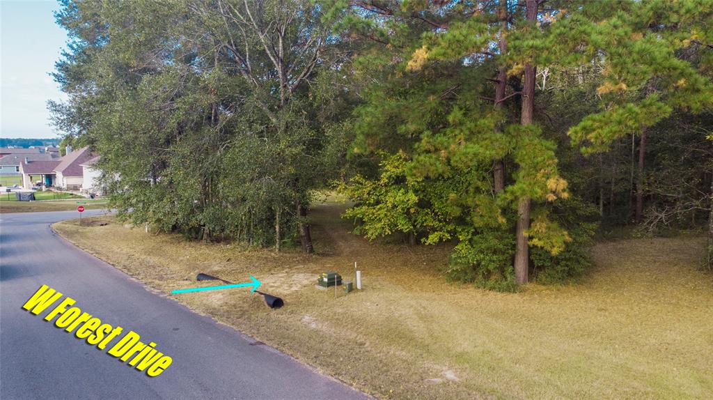 5 W Forest Drive
