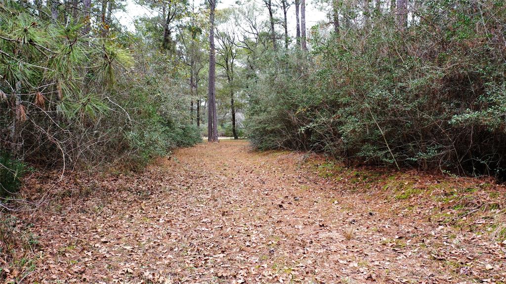 TBD-5 Lone Star Road, Navasota, Texas image 8