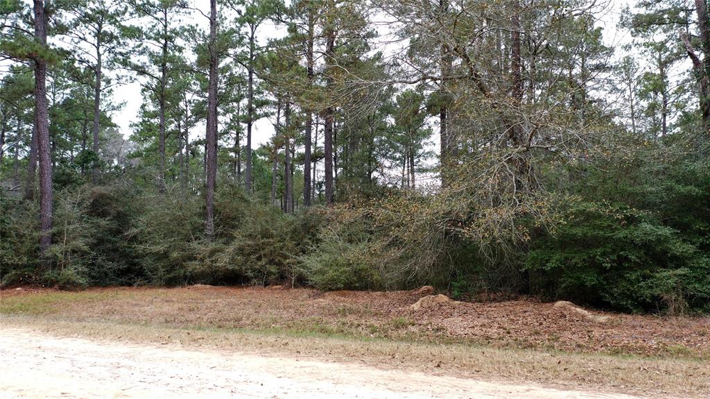 TBD-5 Lone Star Road, Navasota, Texas image 3