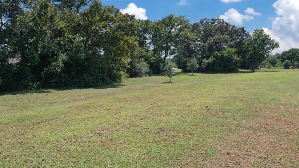 TBD Henley Cove, Iola, Texas image 5