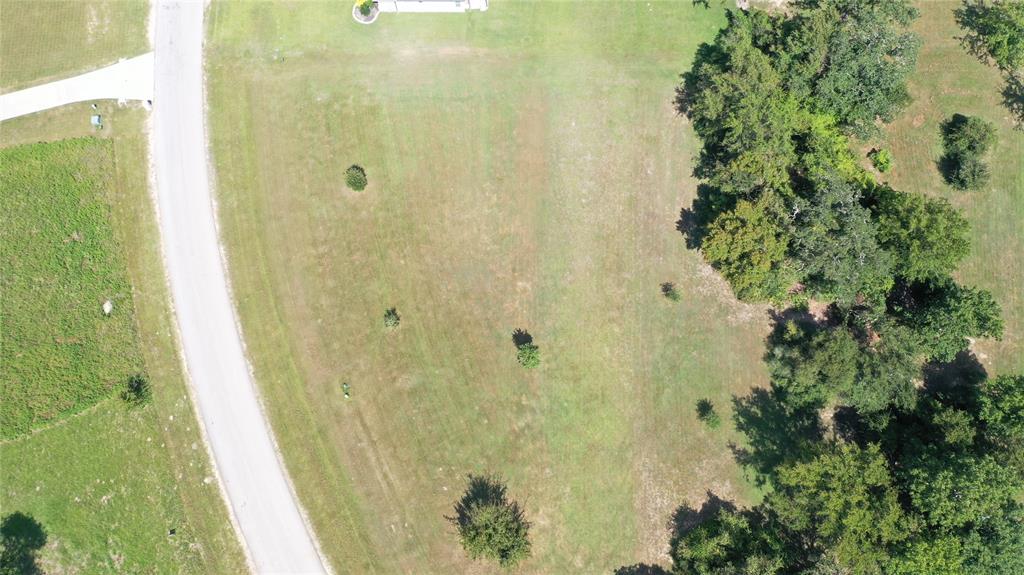 TBD Henley Cove, Iola, Texas image 11