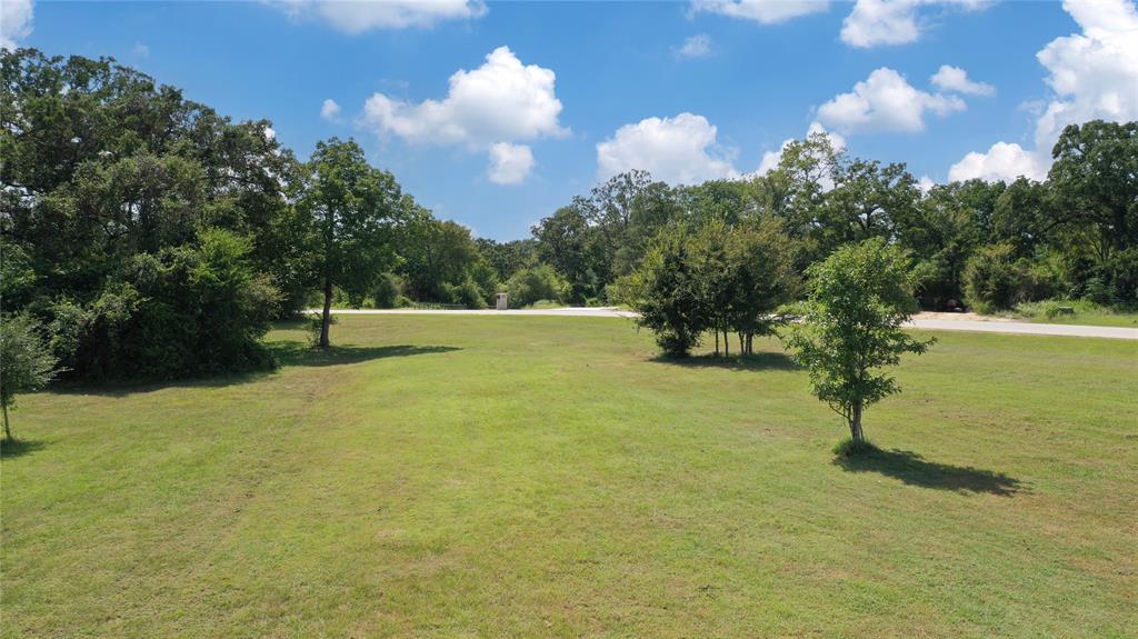 TBD Henley Cove, Iola, Texas image 9