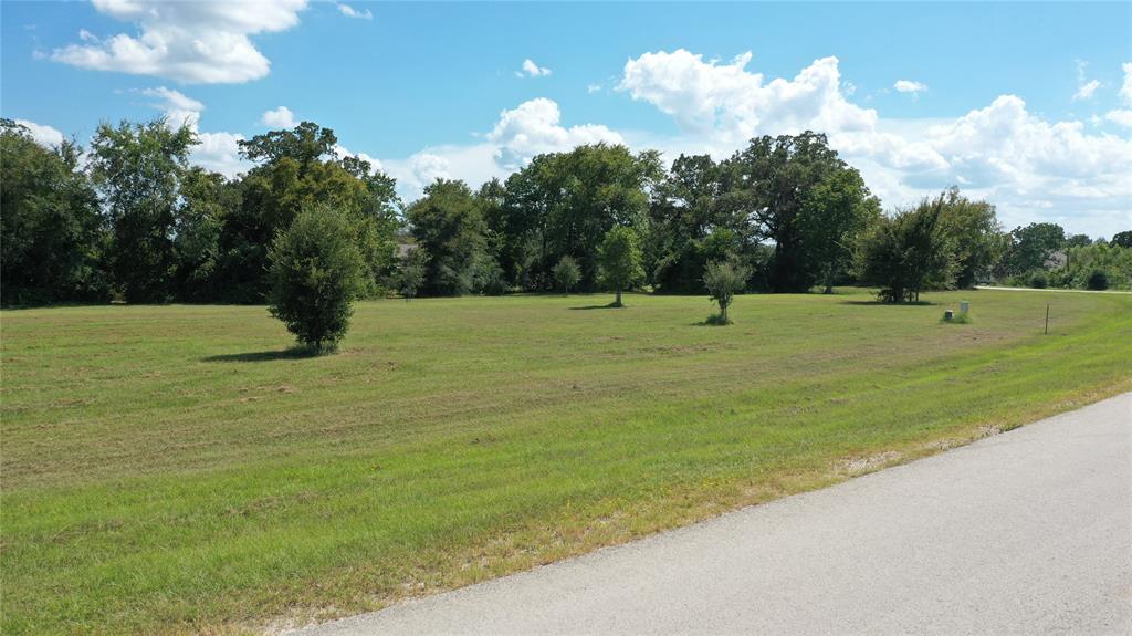 TBD Henley Cove, Iola, Texas image 12
