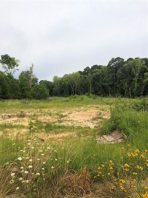 Photo of TBD Pan American Drive, Livingston, TX 77351 (MLS # 52746296)