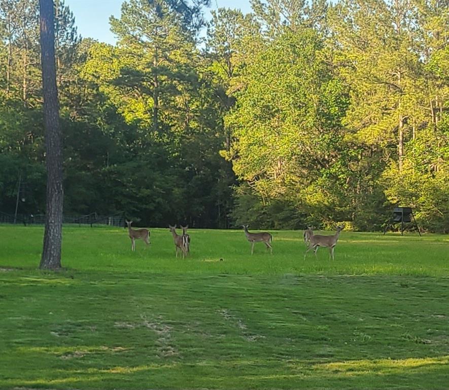 24550 Johnson Rd Rd Rd, Montgomery, Texas image 49