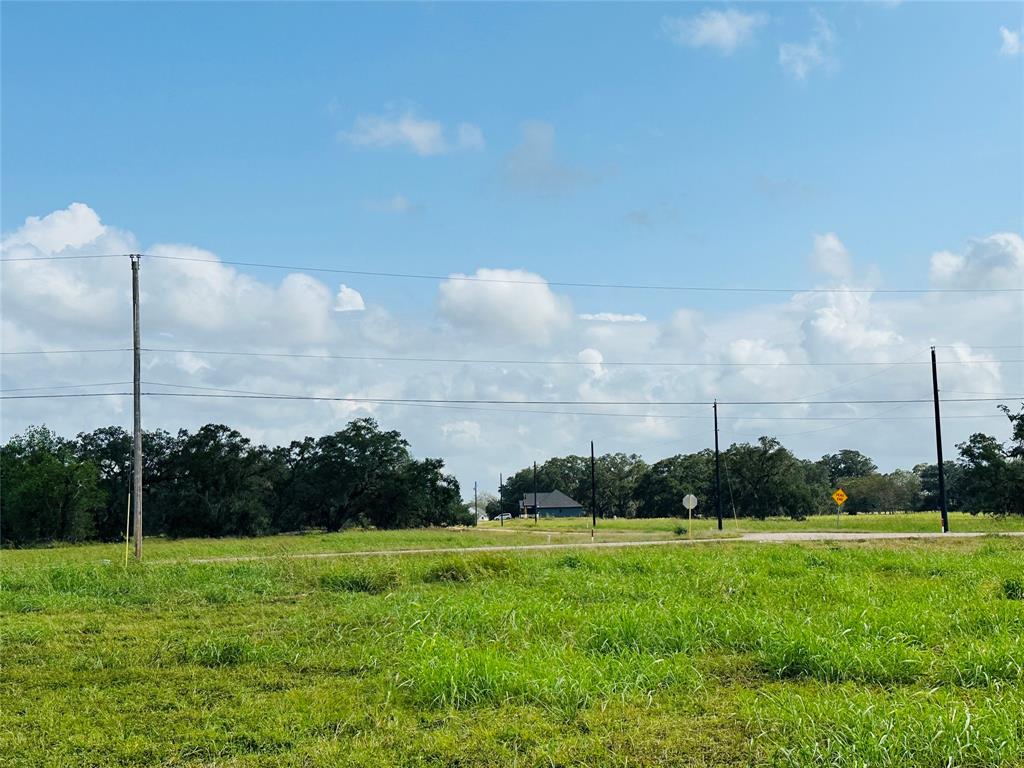 274 Pony Trail, Angleton, Texas image 9